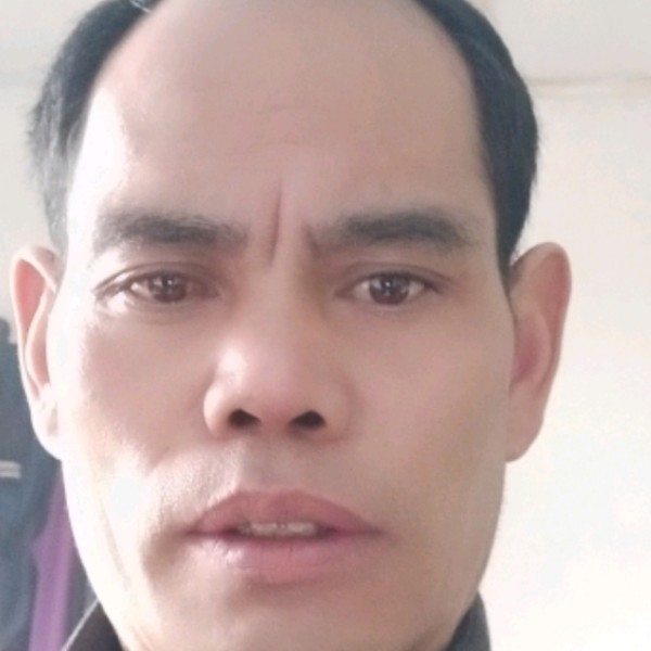 铅笔拾忆完美的照片