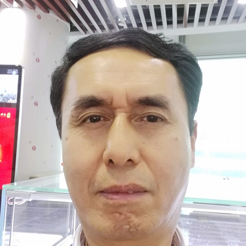 高贵鸭子的照片
