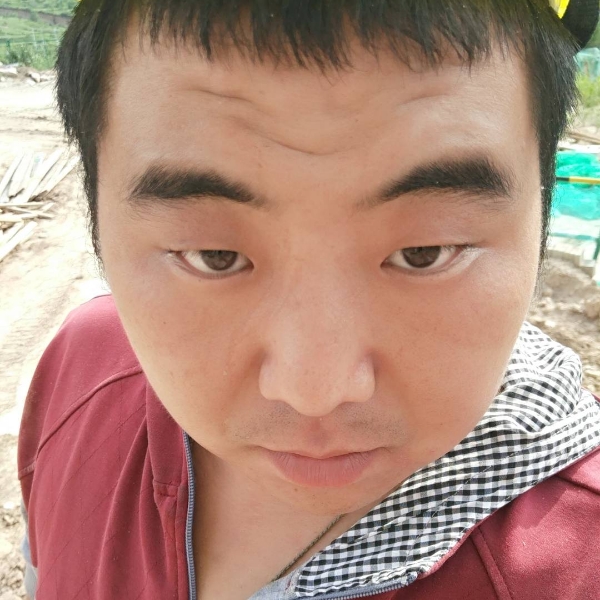嗷嗷待哺的汪汪的照片