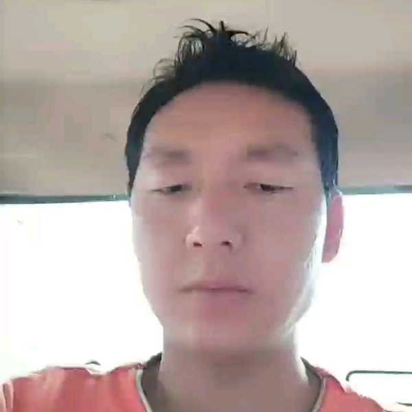 执着蹁跹春天的照片