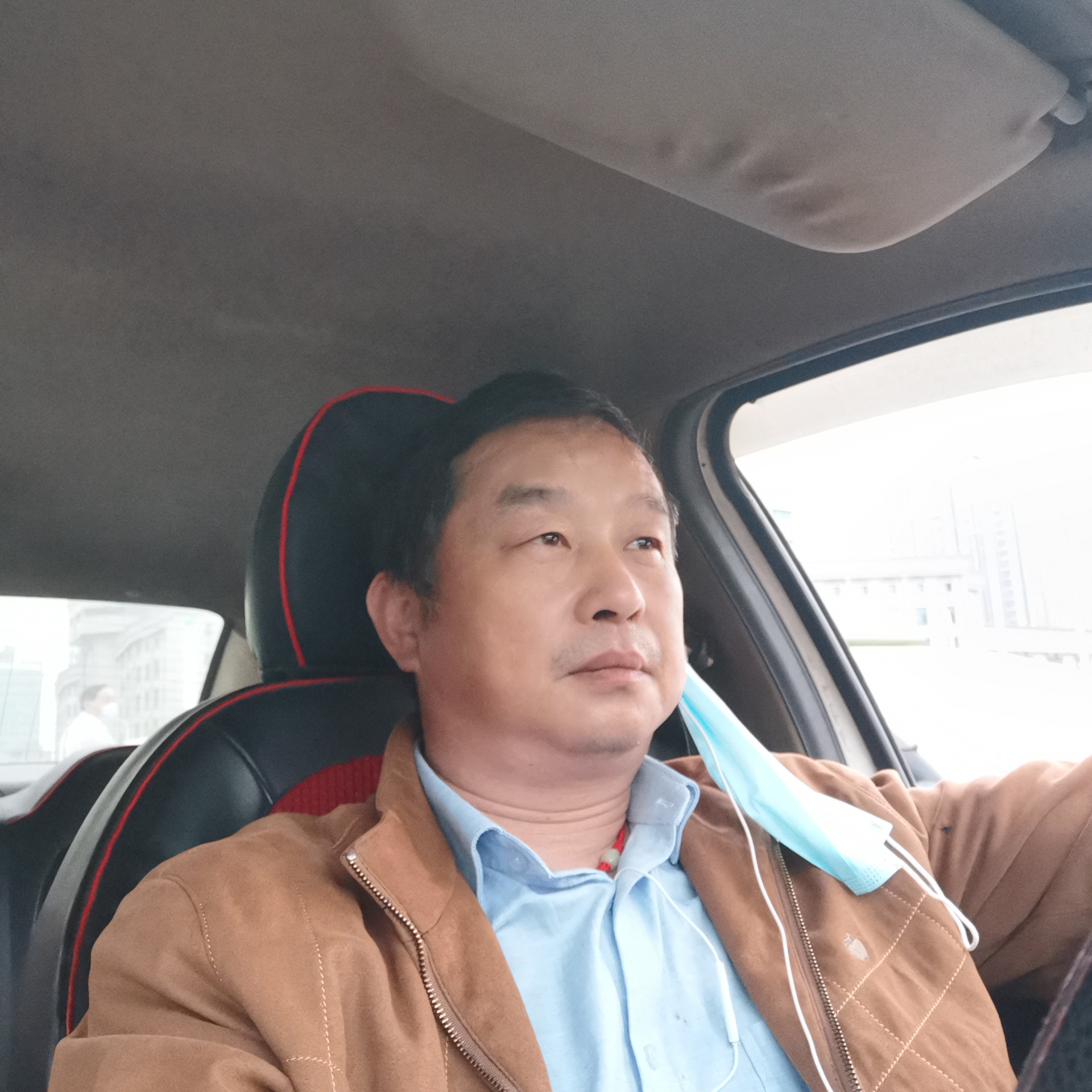 会飞的鱼的照片