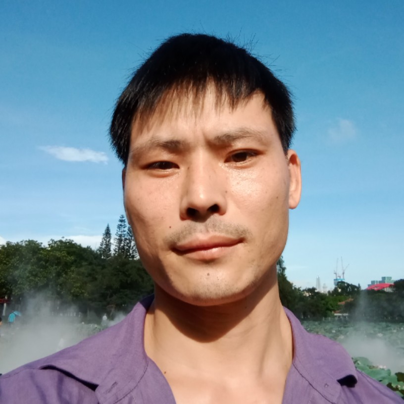 白鸽子。的照片