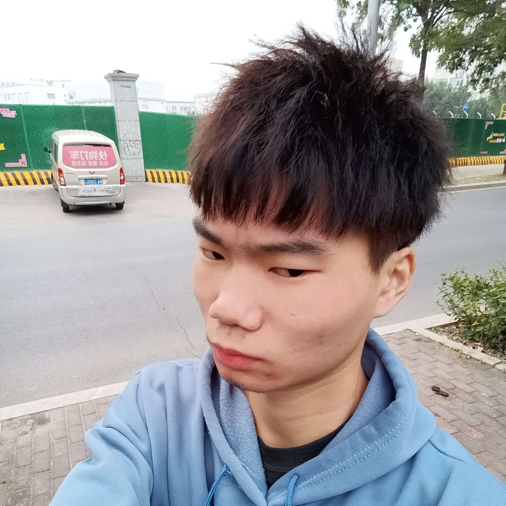 龙猫愿活泼的照片