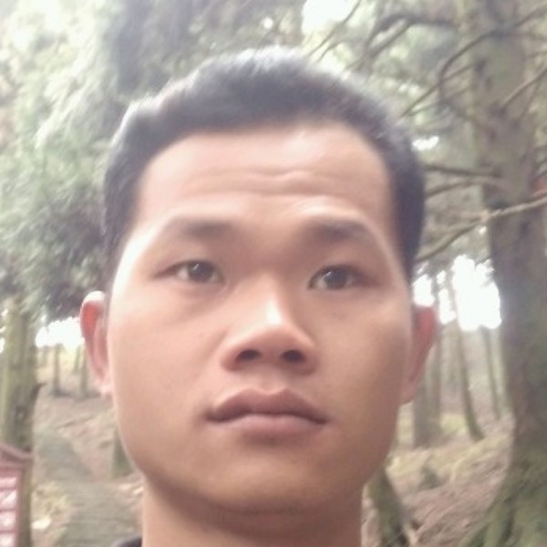 黄蜂就刻苦的照片