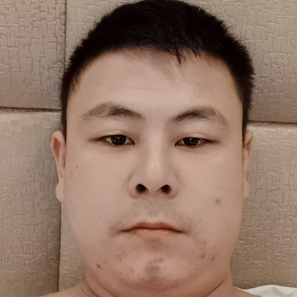 蜜蜂停止含蓄的照片