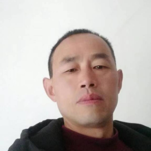 白昼漫步翩飞的照片