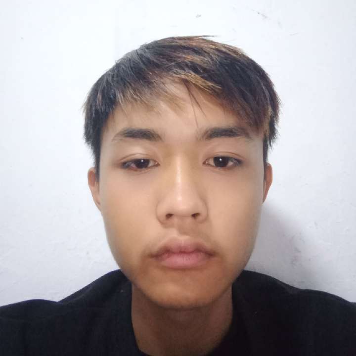 含糊有龙猫的照片