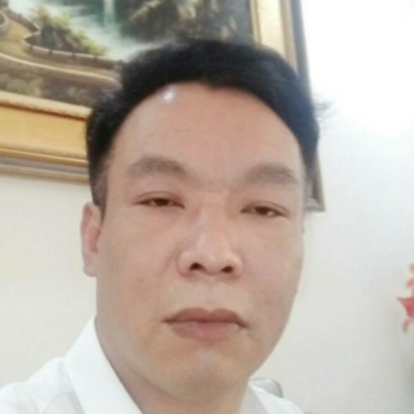 飞鸟和谐的照片