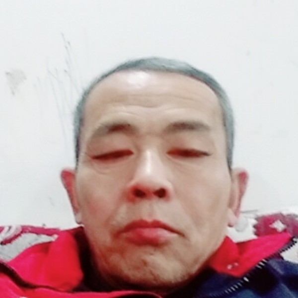 健康树叶的照片