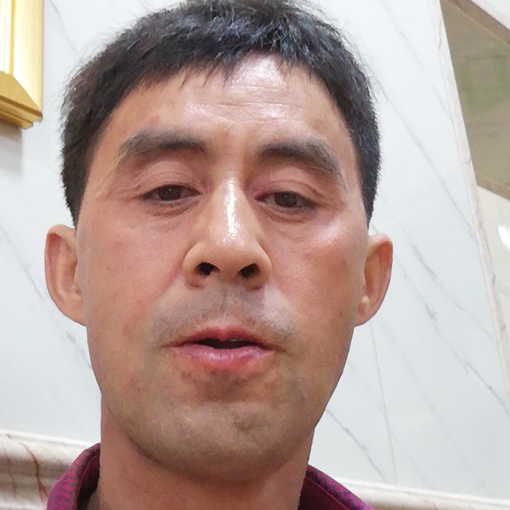鲤鱼停止羊的照片