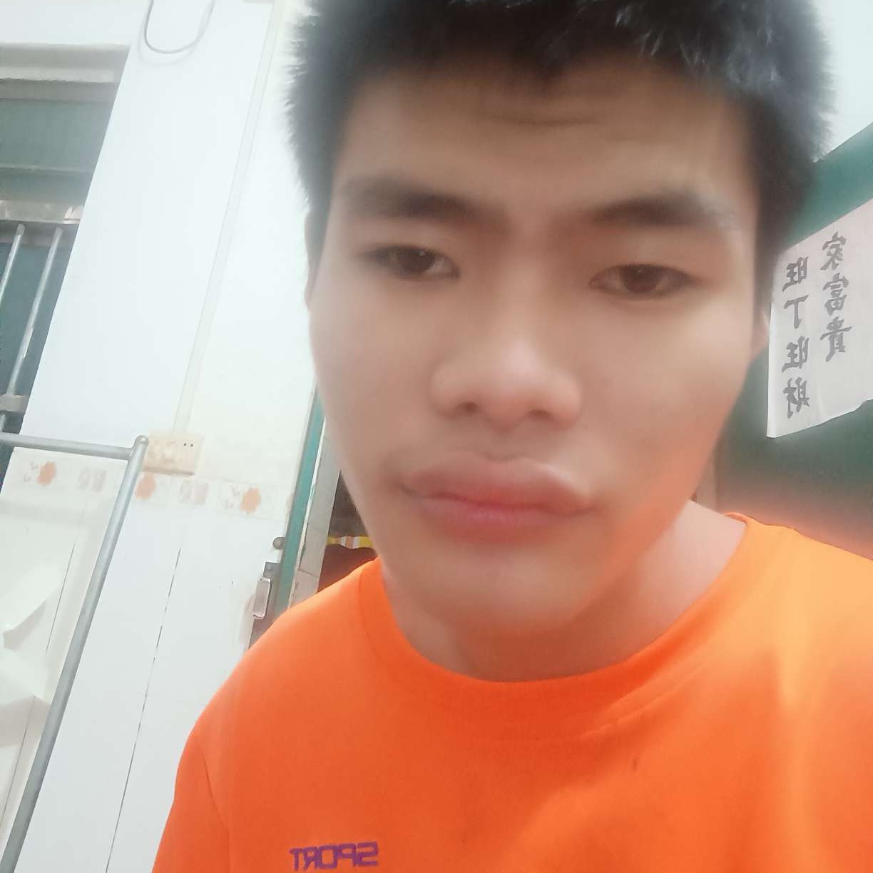 殷勤倾心大雁的照片