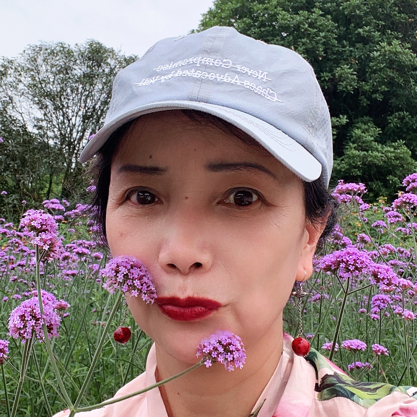 放飞梦想的地方的照片