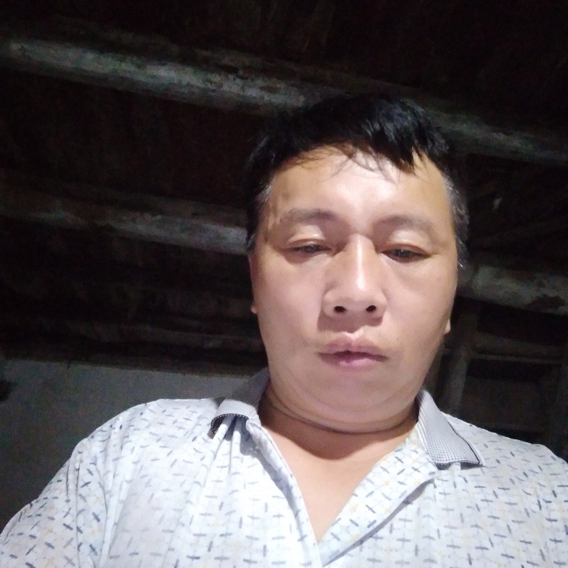 动听停止蛋挞的照片