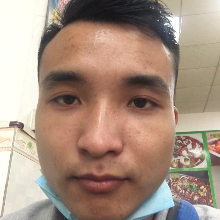 善良的蜜粉的照片