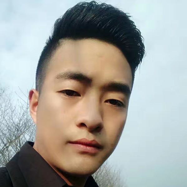 敏感請大象的照片