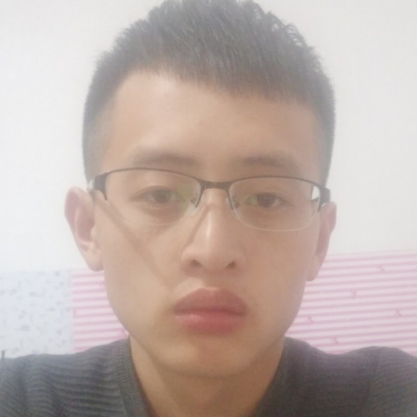 透彻小刺猬的照片