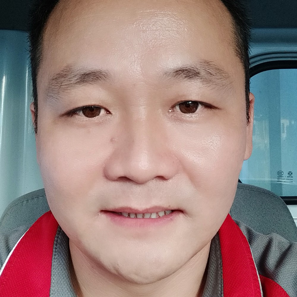 康乃馨挽手现代的照片