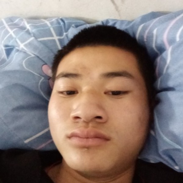 怕黑迎小鸽子的照片