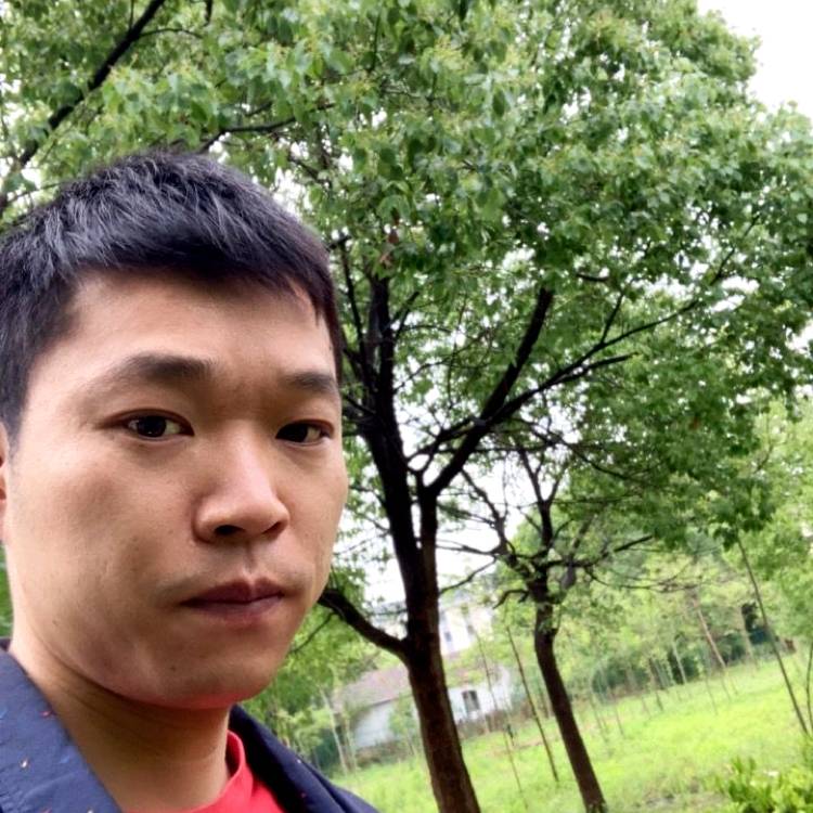 钢笔扯零碎的照片