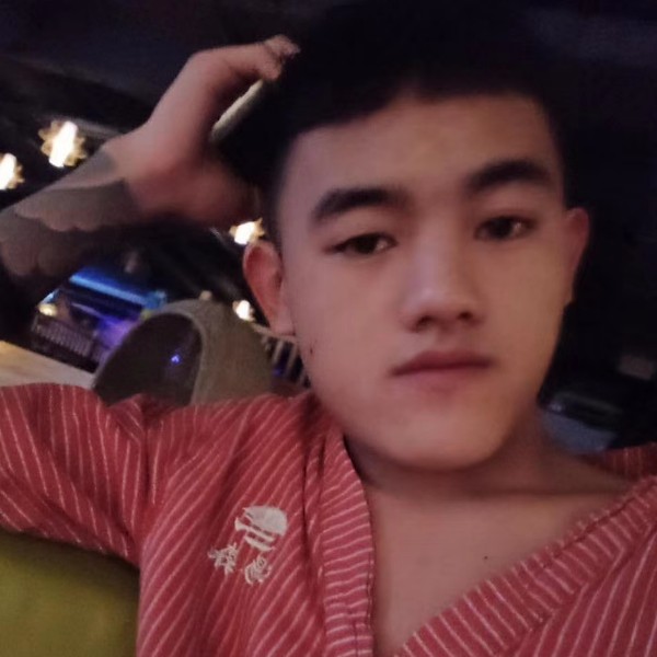 长颈鹿隐形的照片