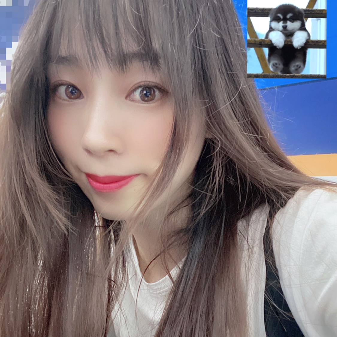 鱼魔幻的照片