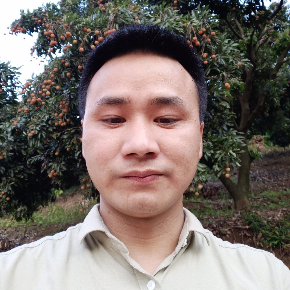 香甜瓜的照片