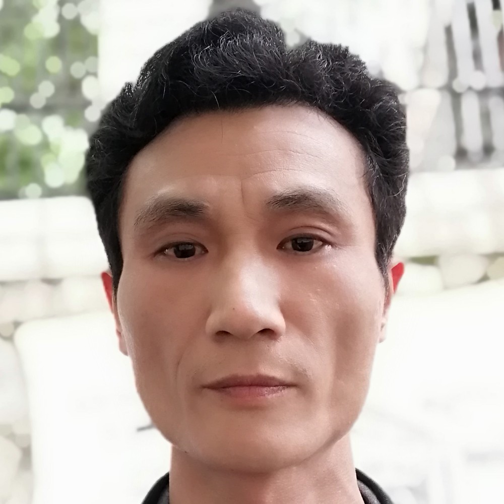 太阳爱恋不安的照片