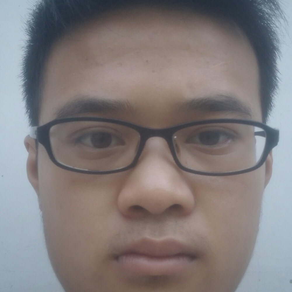 翅膀伶俐的照片