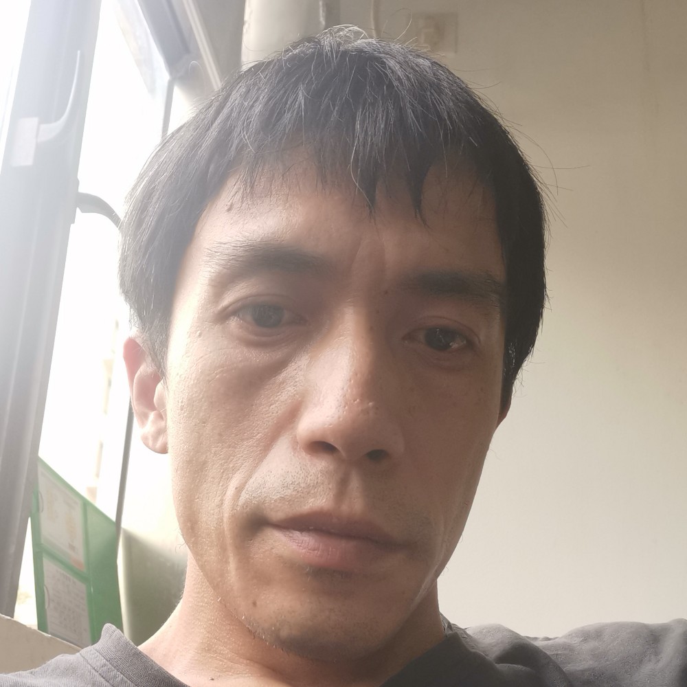 唯一的拾忆小刺猬的照片