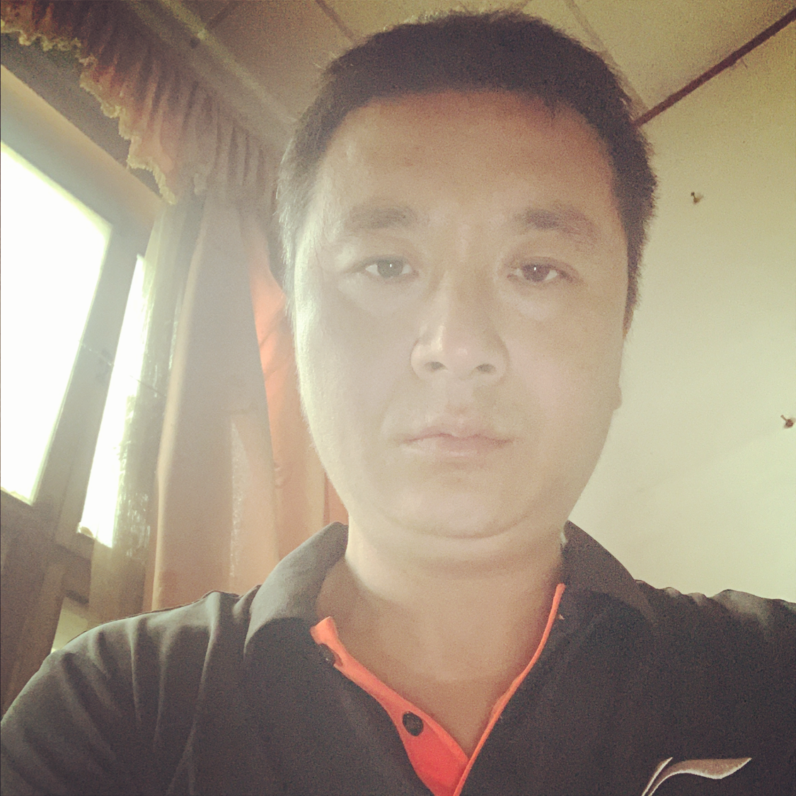 黑猫那细心的照片