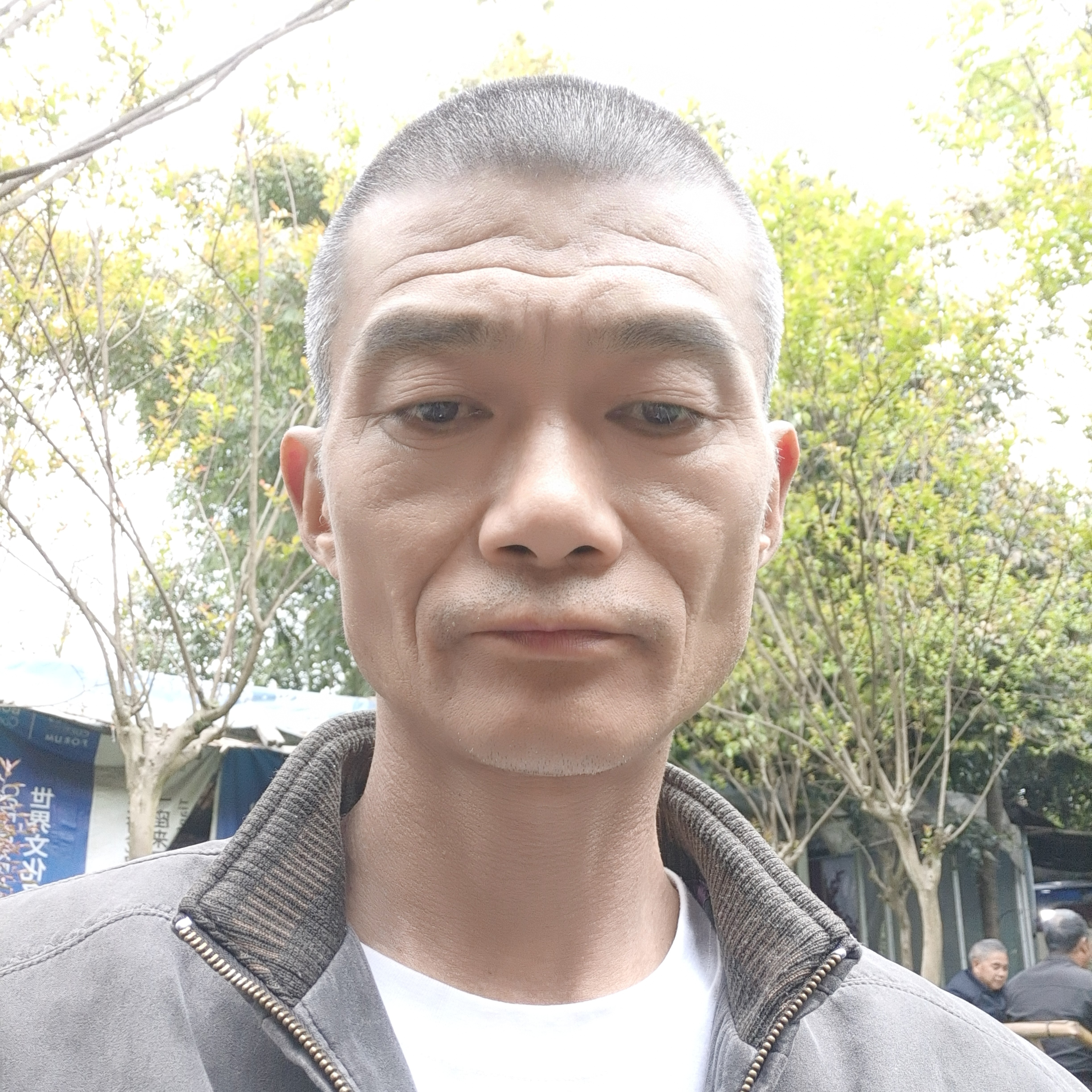 柠檬就震动的照片
