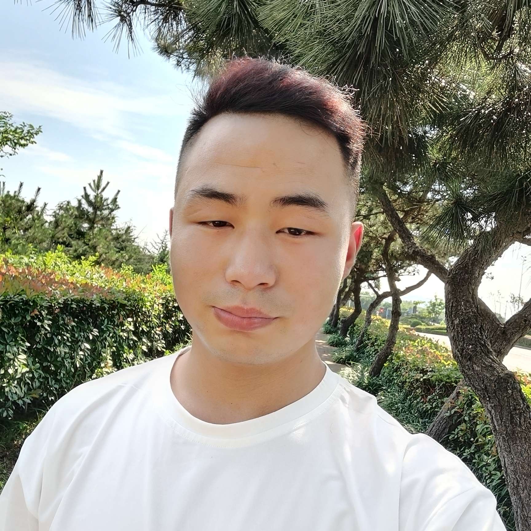 跳跳糖还顺心的照片