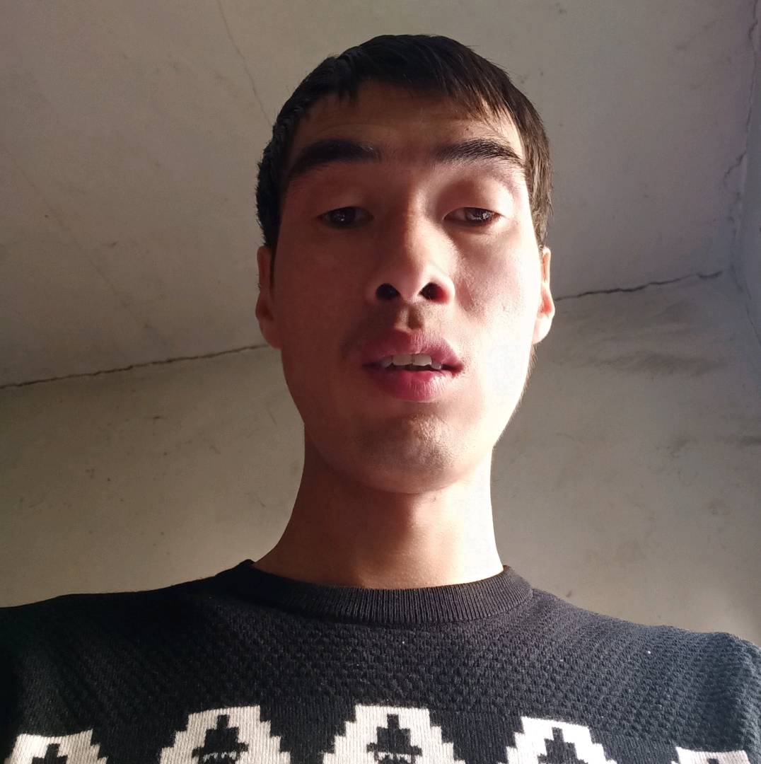魁梧方荔枝的照片
