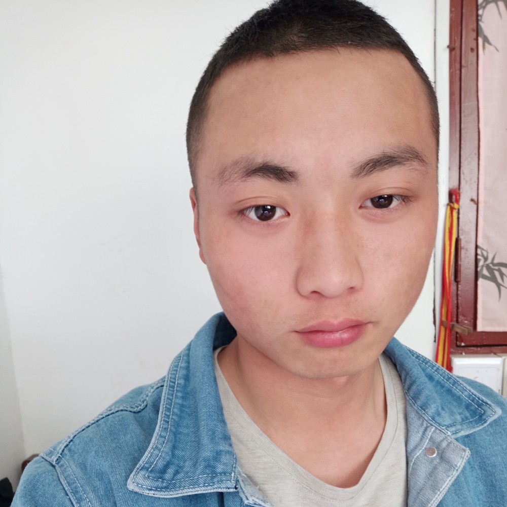 小海豚笑寂寞的照片
