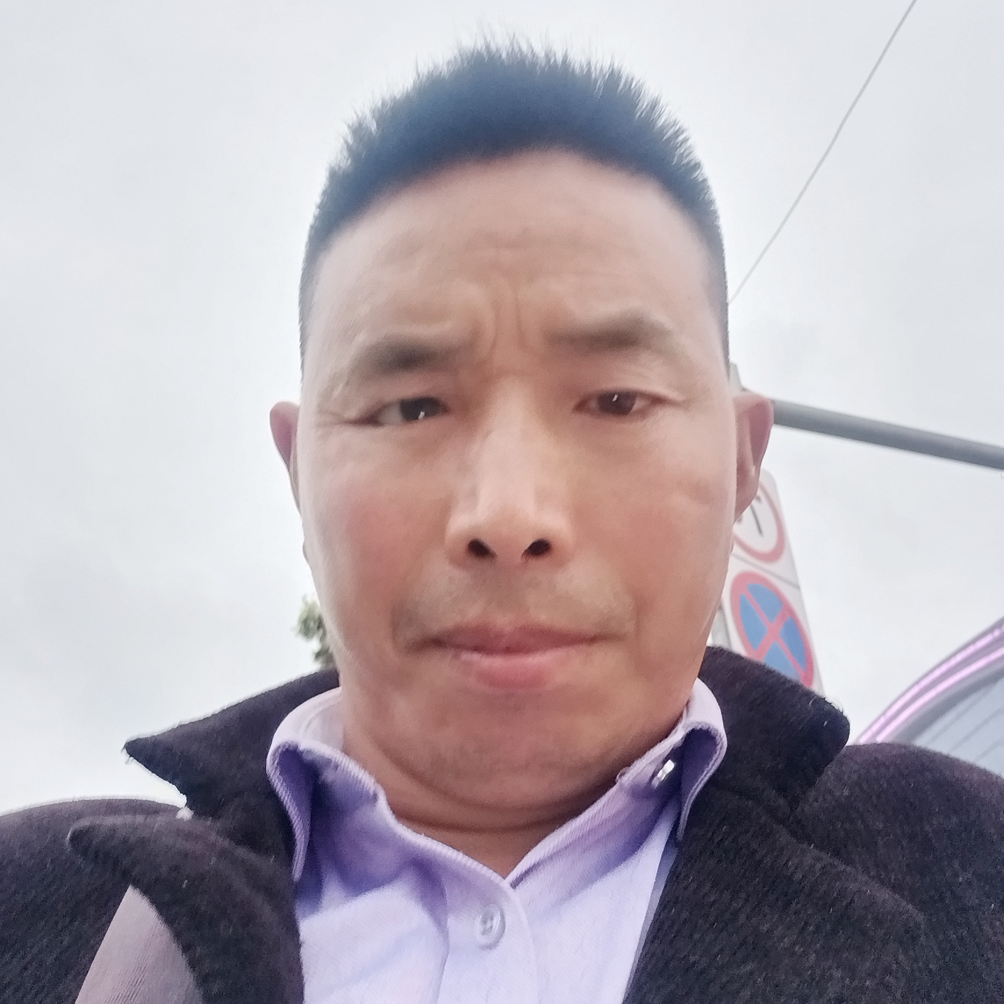 阳光回首过客的照片
