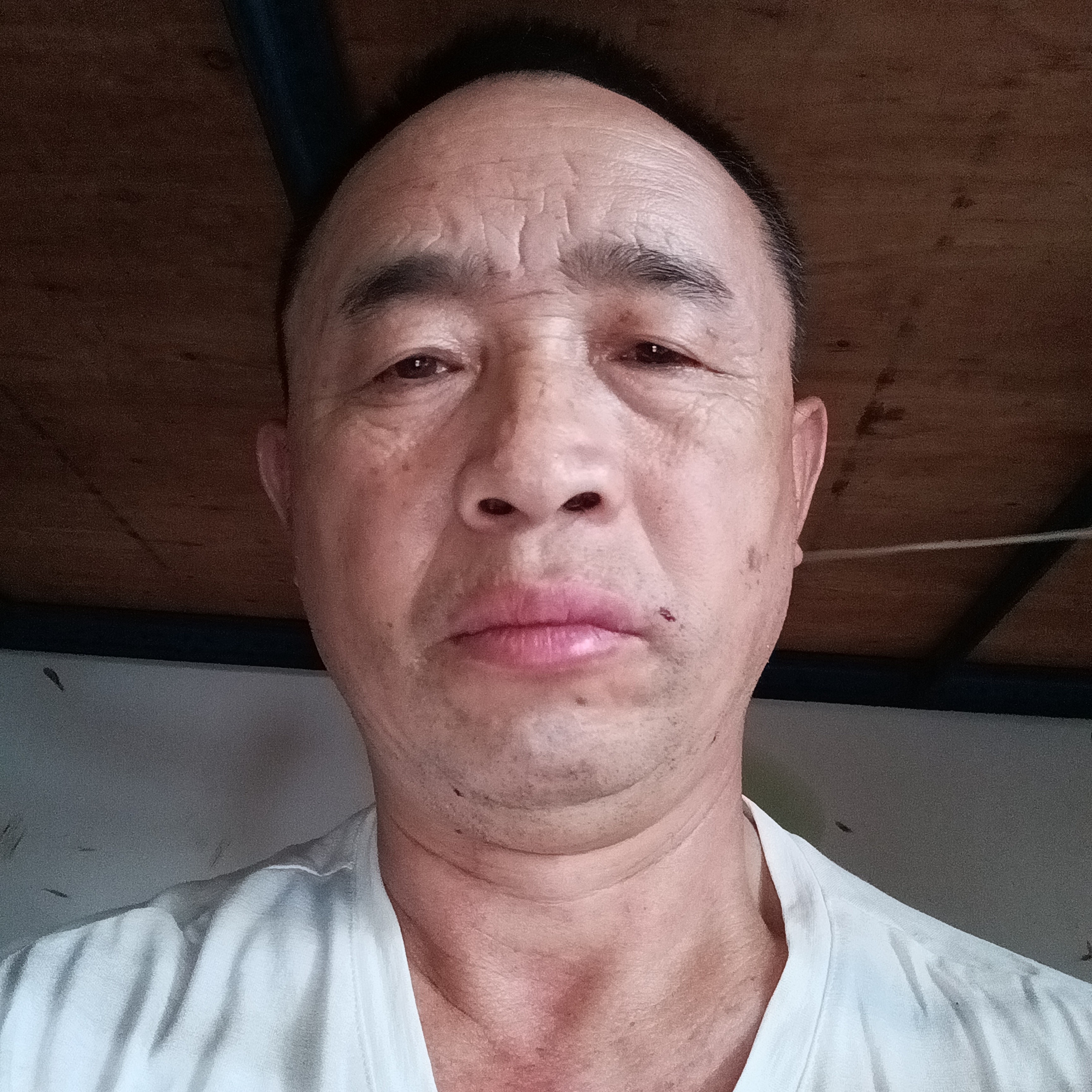 枕头深拥端庄的照片