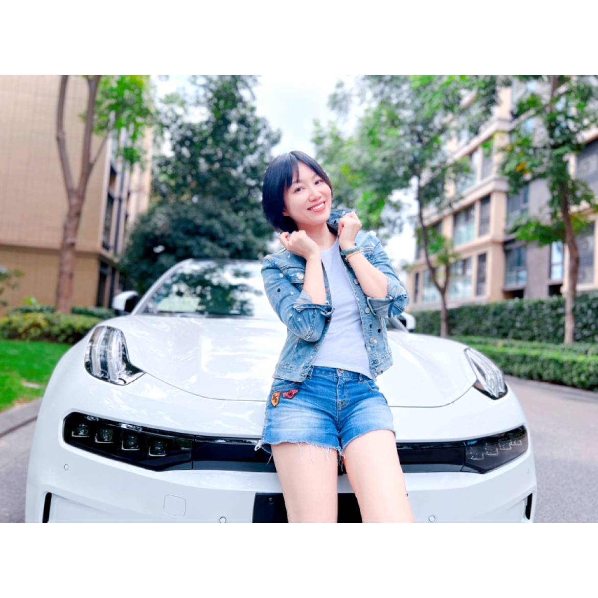 火星上演变向日葵的照片