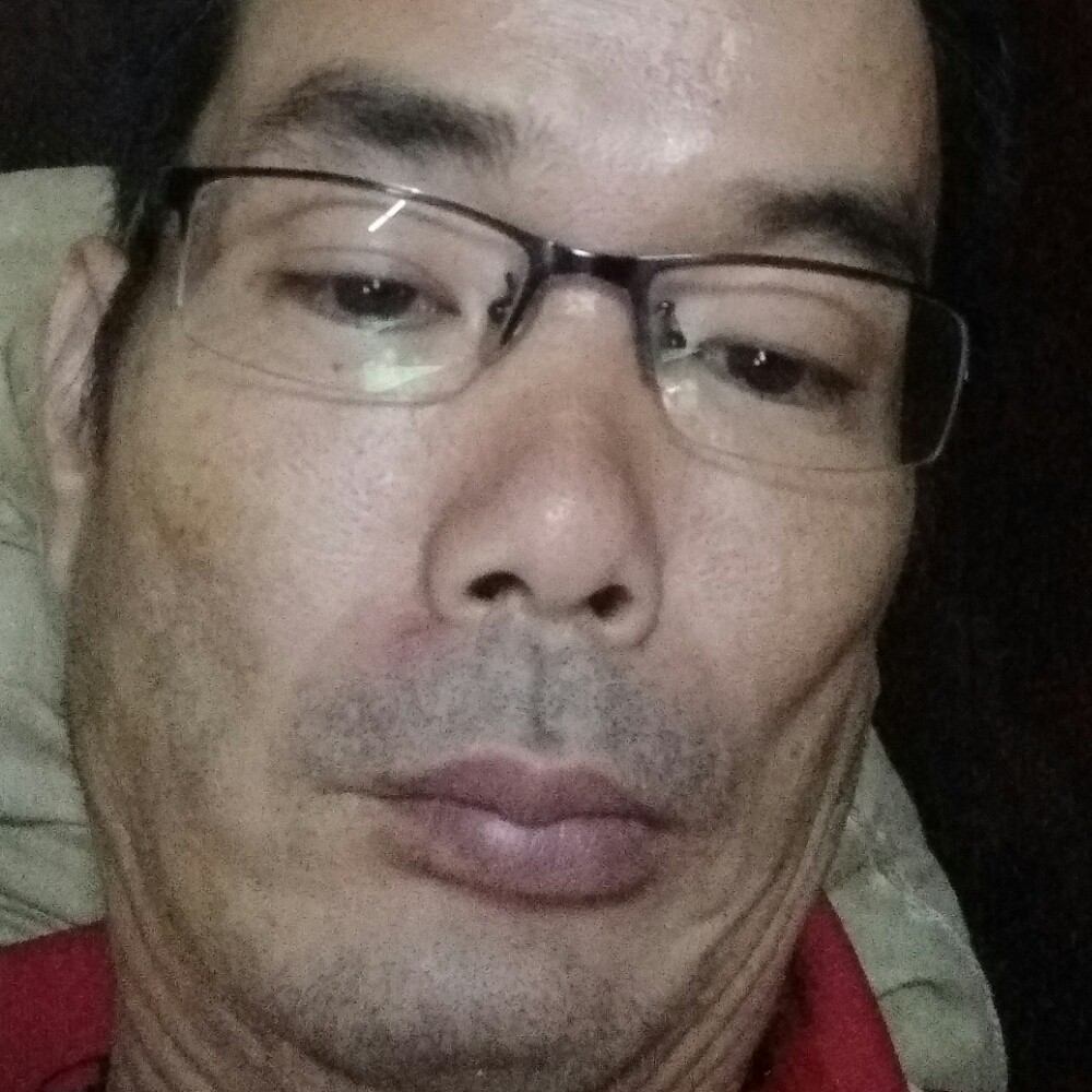 没有野心的狼的照片