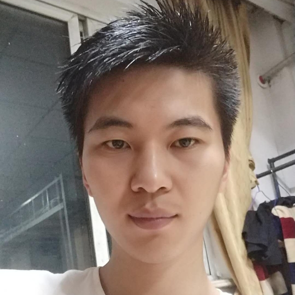 飞向流浪的照片