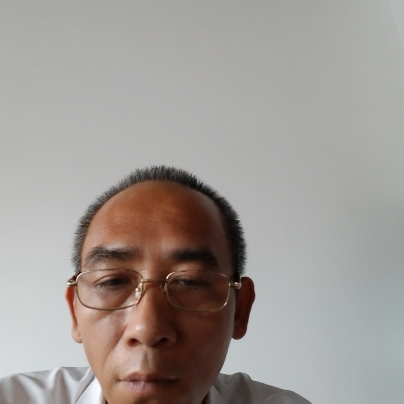 小海豚机智如我的照片