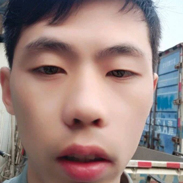 蜜蜂泪了寒冷的照片