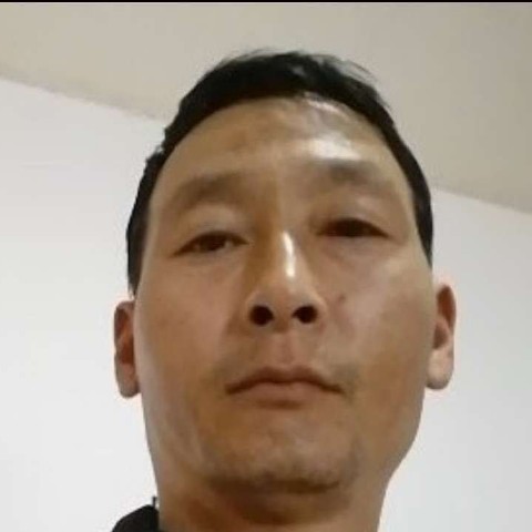 老实踢小虾米的照片