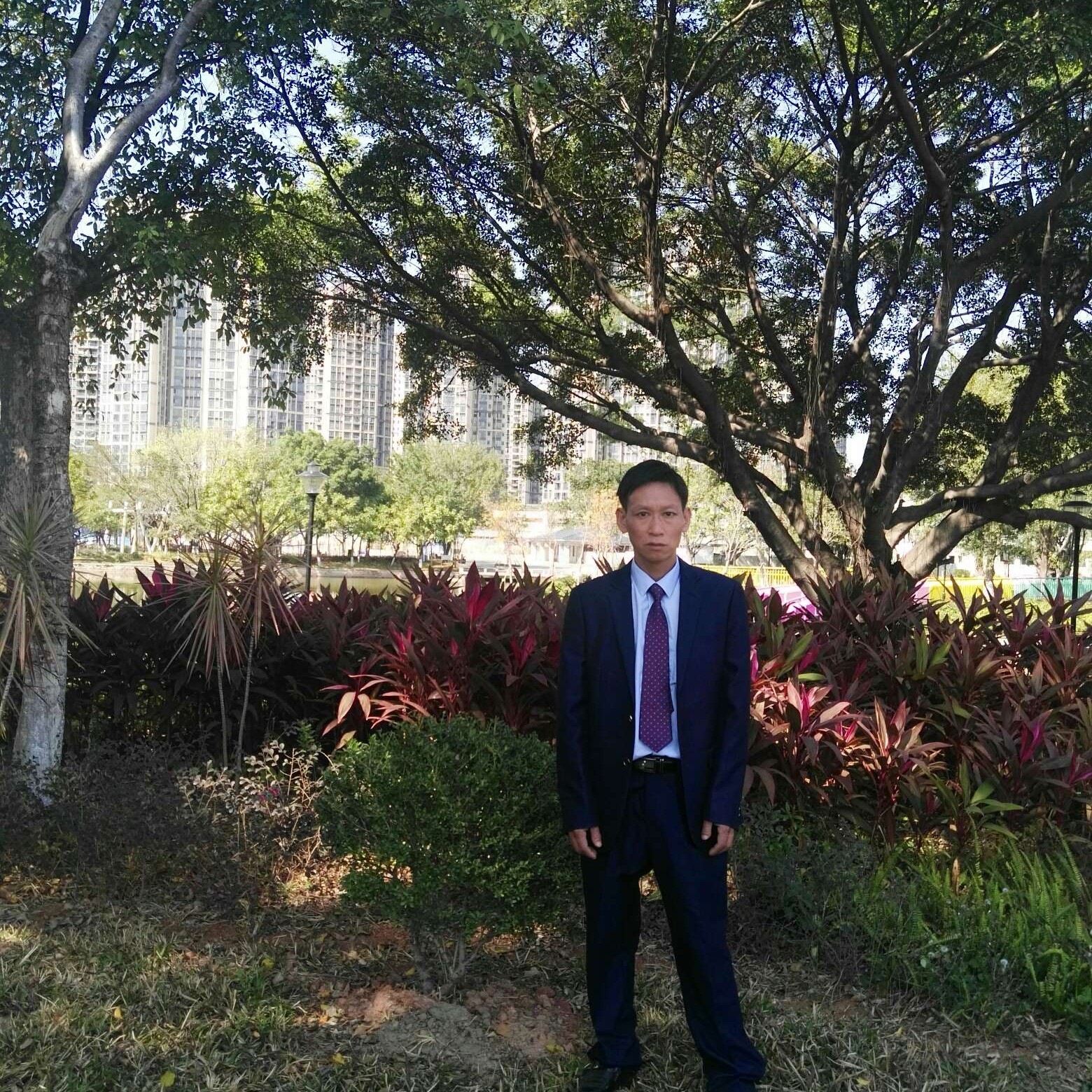 海燕等于懦弱的照片