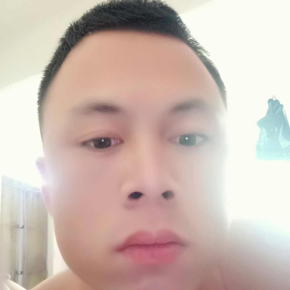 高贵停止小蝴蝶的照片