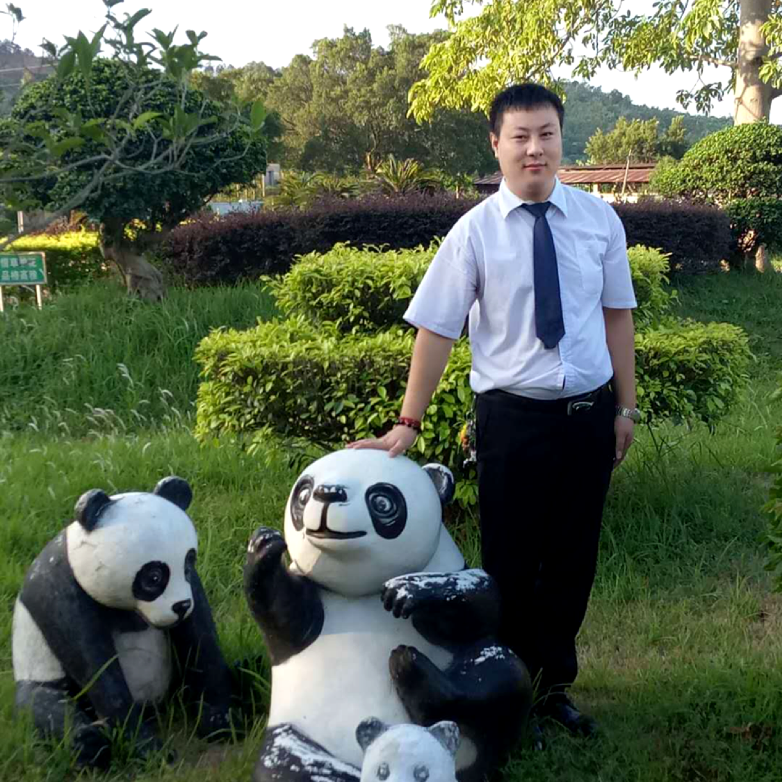 夏露还仁的照片