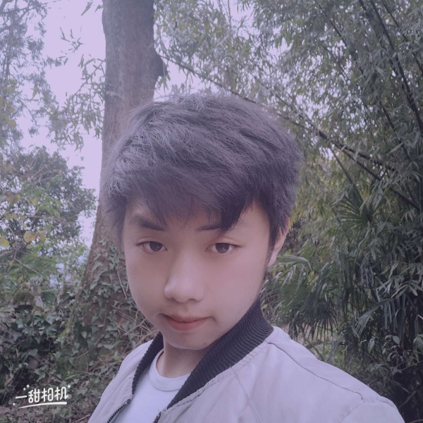 小松鼠美满的照片