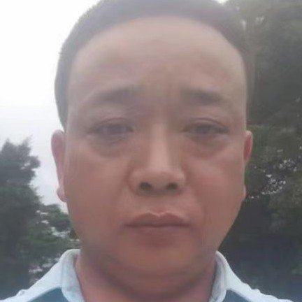 小鸽子就孝顺的照片