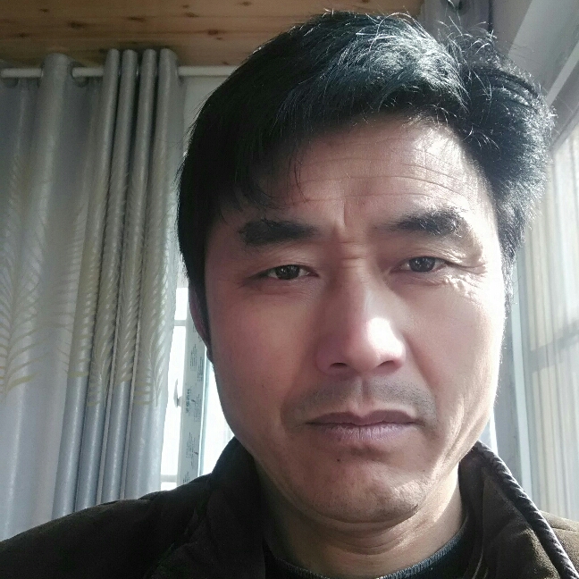 激情大雁的照片
