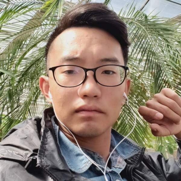 孤心等于零碎的照片