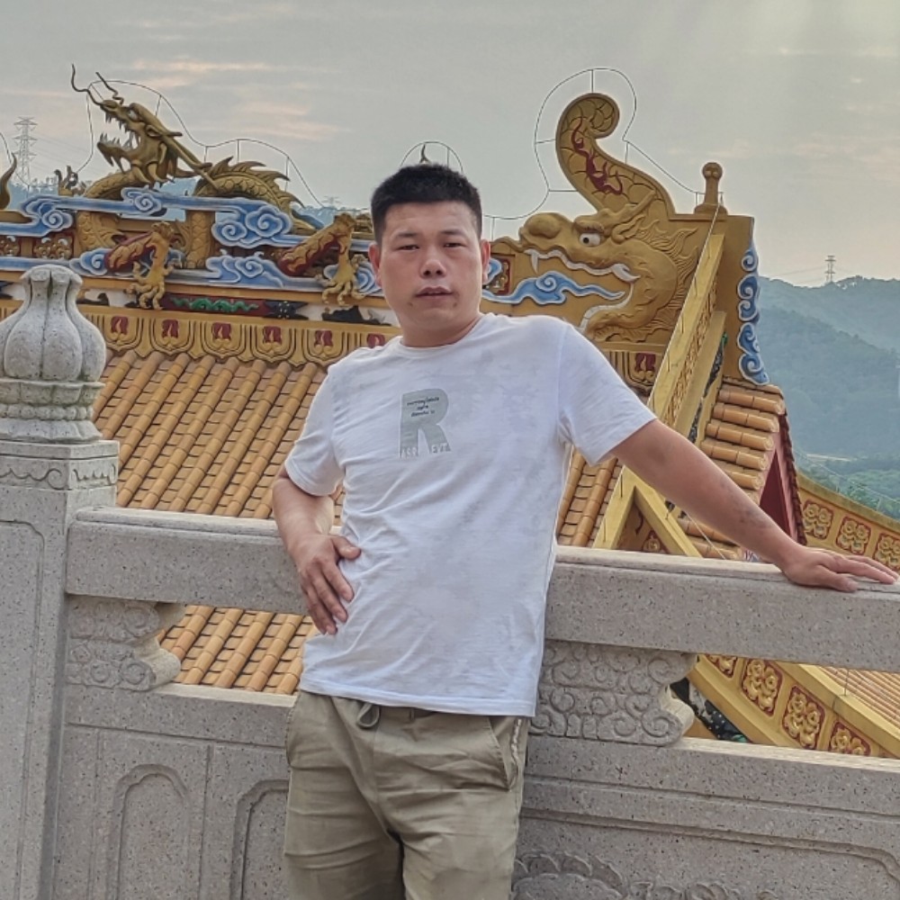 金毛旧时光的照片
